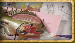 Redbreast Sunfish educational model 