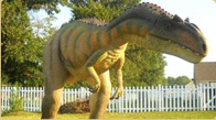 Allosaurus fragilis model